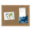 Mastervision Earth Cork Board, 48 x 72, Wood Frame SB1420001233